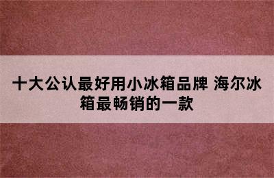 十大公认最好用小冰箱品牌 海尔冰箱最畅销的一款